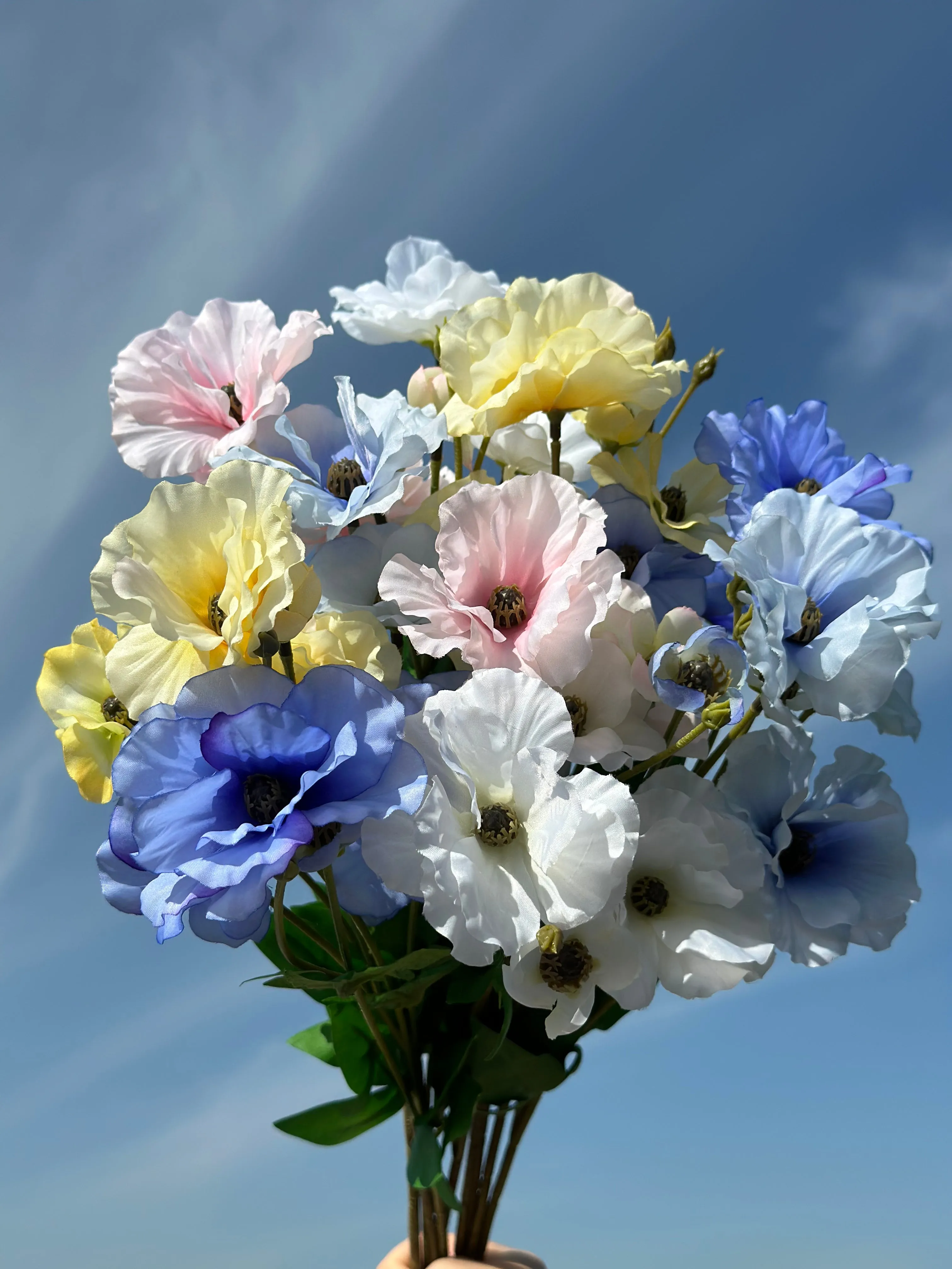 Butterfly Ranunculus (5 colours)