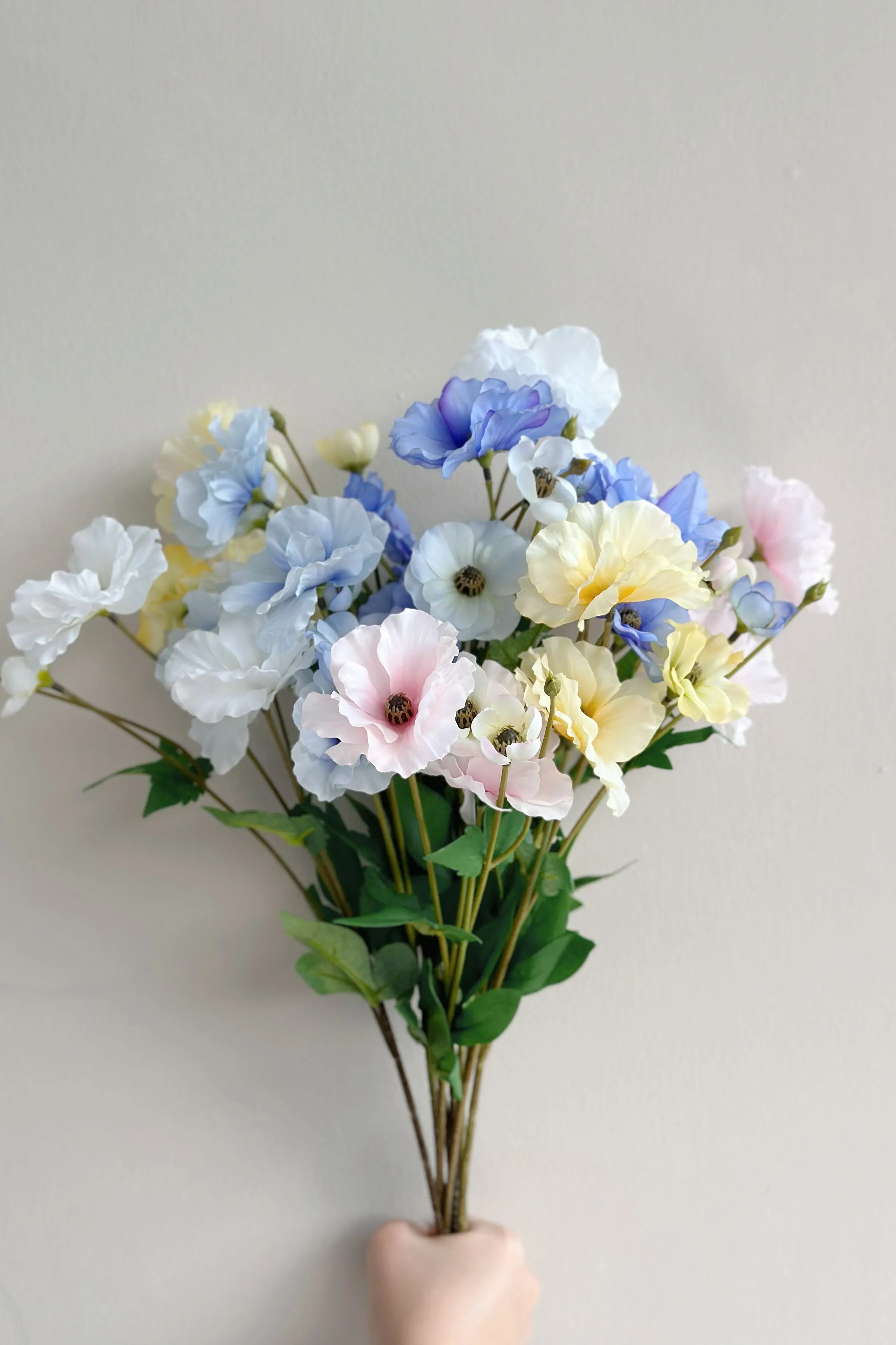 Butterfly Ranunculus (5 colours)