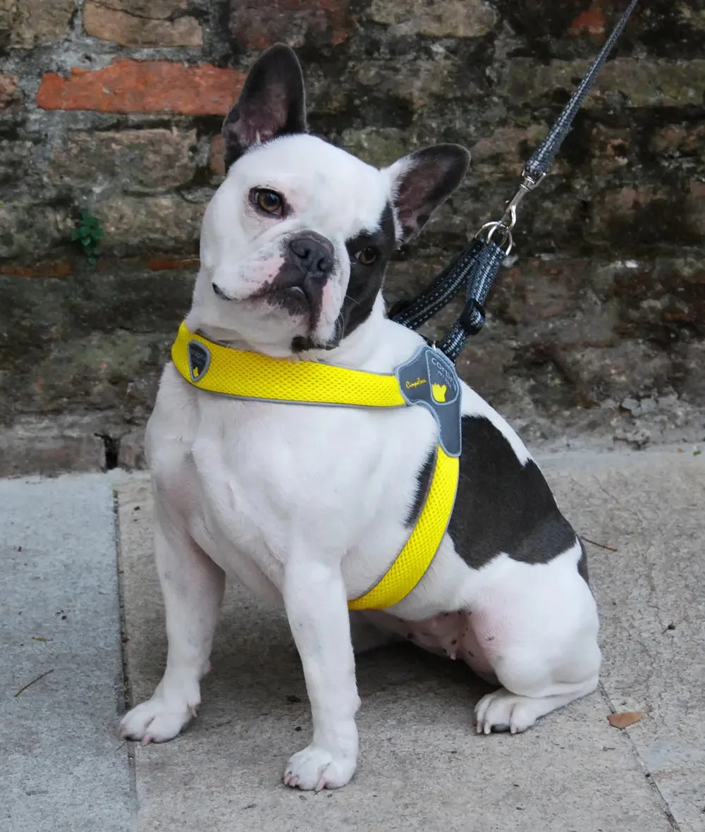 Coralpina Dog Harness Mesh Sport Step In 3 LBS to 55 LBS