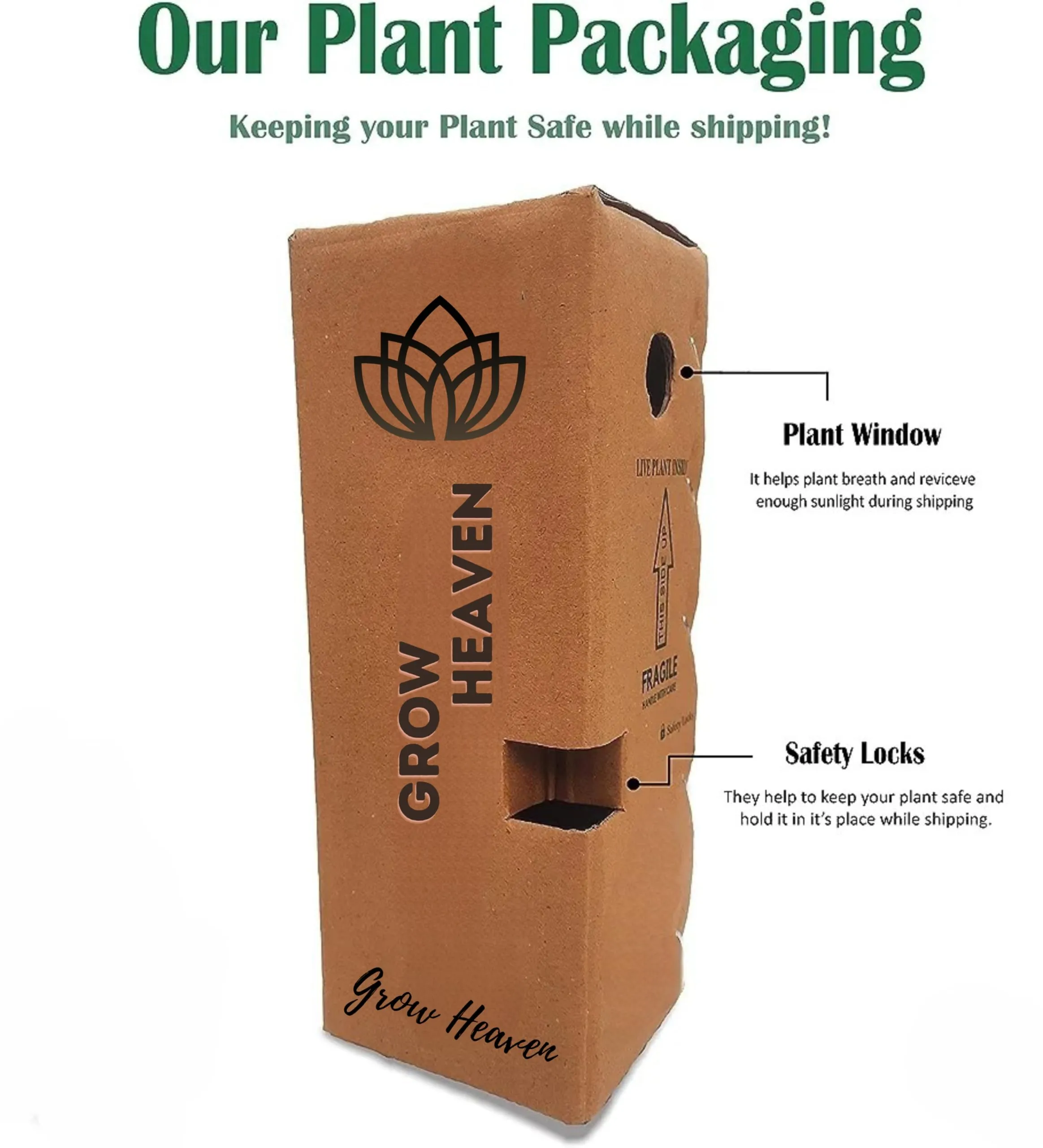 GrowHeaven Live Flower Rose (Red) (Gulab) Plant With Pot