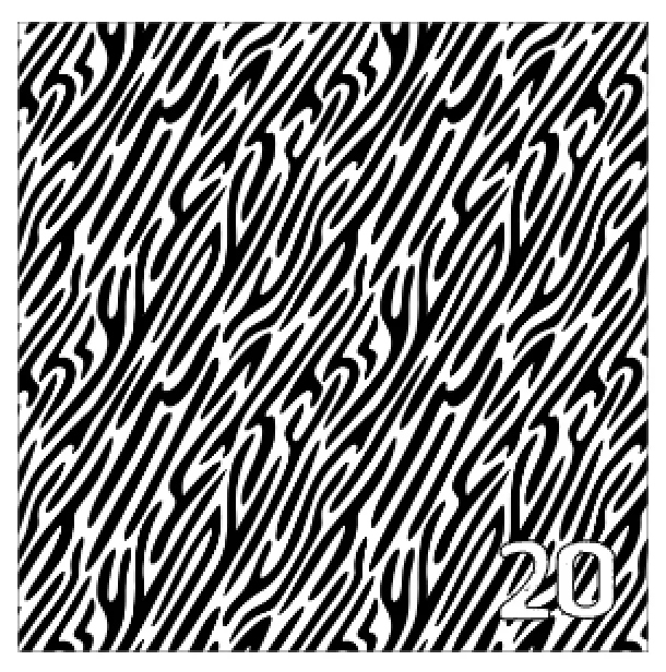 Printed Adhesive Vinyl ABSTRACT ANIMAL Print