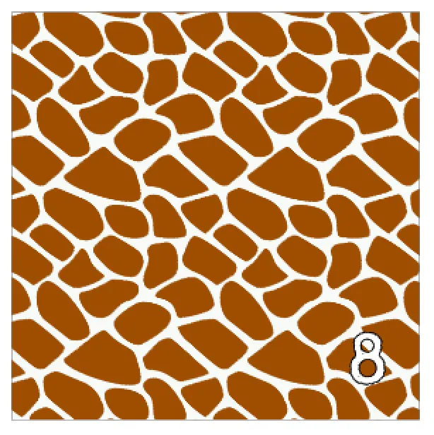 Printed Adhesive Vinyl ABSTRACT ANIMAL Print