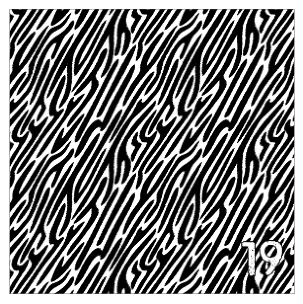 Printed Adhesive Vinyl ABSTRACT ANIMAL Print