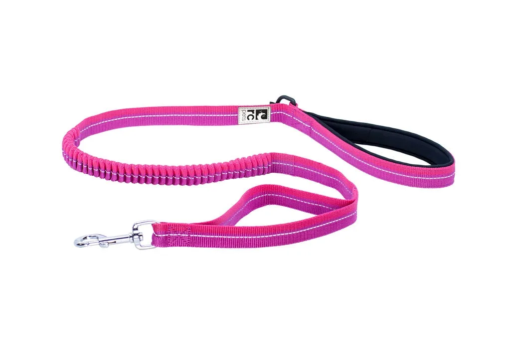 RC Pets Bungee Traffic Leash