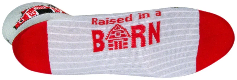 SockGuy Barns Classic 3" Cycling Bike Sock